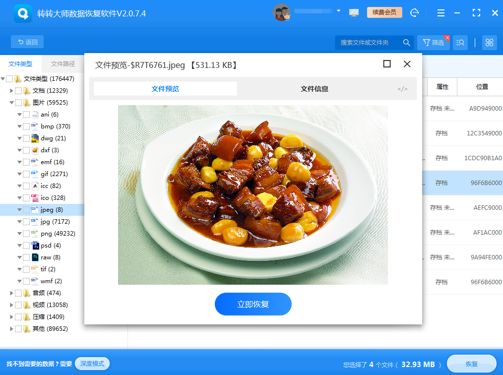 使用專業(yè)的數(shù)據(jù)恢復(fù)軟件步驟五