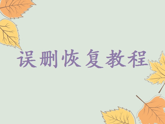 文件粉碎機(jī)誤刪除文件怎么恢復(fù)？嘗試下這些方法吧！