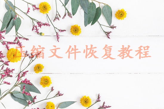 北京數(shù)據(jù)恢復(fù)公司哪家好？專業(yè)選擇指南與避坑建議！