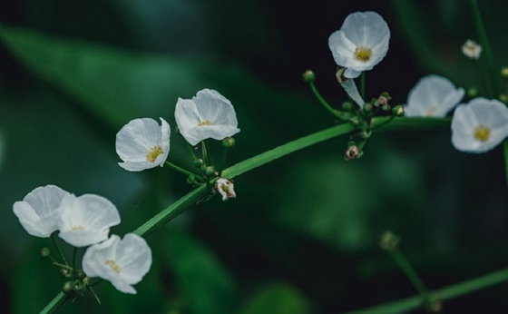 不小心把照片全刪了怎么恢復(fù)？這里有全面的恢復(fù)策略！
