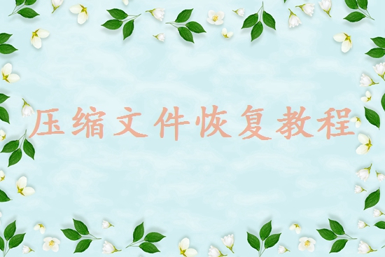 數(shù)據(jù)恢復(fù)公司
