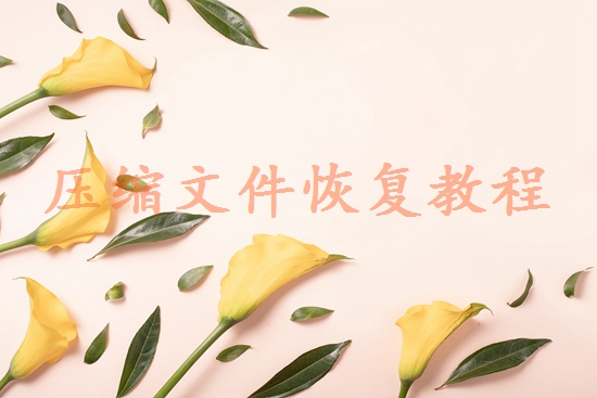 湖南數(shù)據(jù)恢復(fù)哪個(gè)公司好？試試這4家恢復(fù)機(jī)構(gòu)！