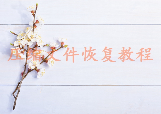 重慶數(shù)據(jù)恢復(fù)公司有哪些？推薦幾個專業(yè)找回您的寶貴數(shù)據(jù)！