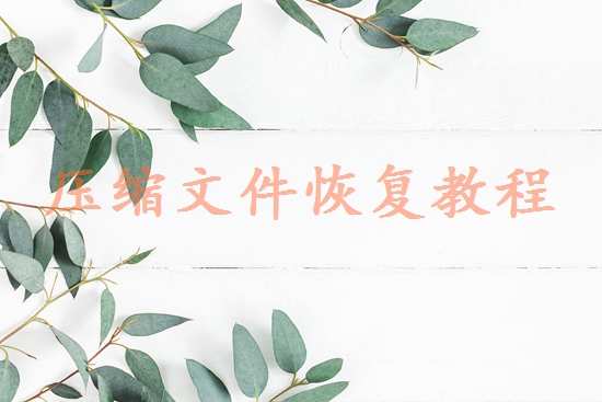 數(shù)據(jù)怎么恢復(fù)？分享找回數(shù)據(jù)的4個方法！