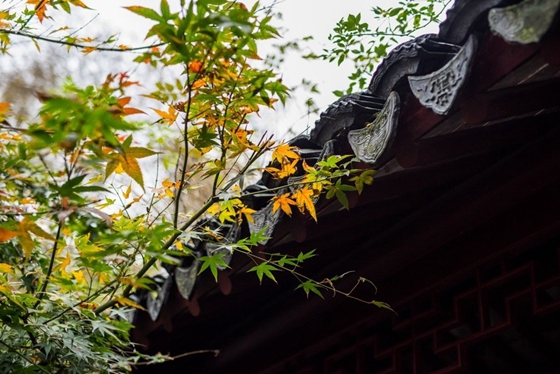最近刪除的照片刪除怎么恢復(fù)？可嘗試這幾種方法！