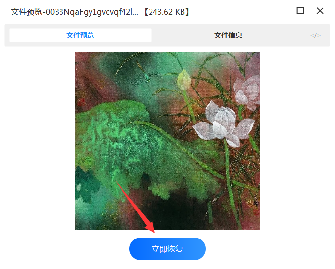 嘗試數(shù)據(jù)恢復(fù)軟件步驟六