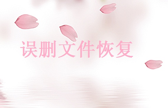 如何找回電腦誤刪的文件恢復(fù)？可用這三種方法找回！