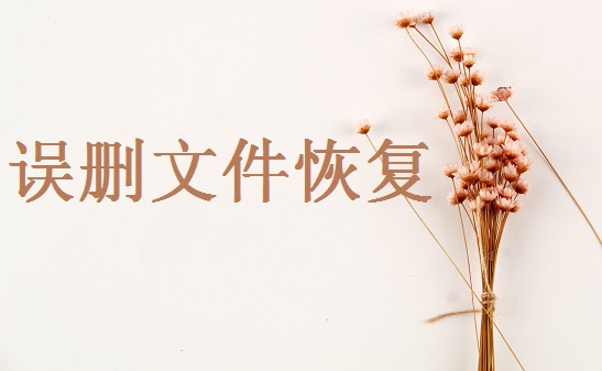 被shift+delete刪除的文件如何恢復(fù)？四種恢復(fù)方法供您選擇