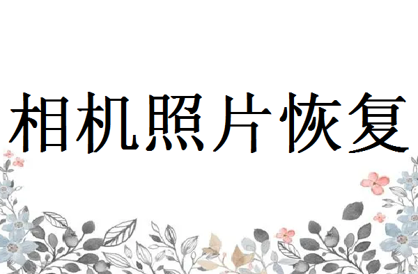 富士相機(jī)怎么恢復(fù)已刪除的照片？悄悄告訴您三種方法！