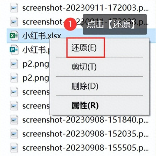 回收站恢復(fù)刪除的文檔