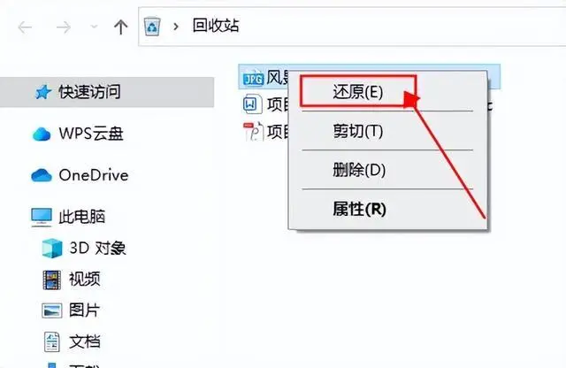 檢查回收站（適用于電腦連接SD卡操作）