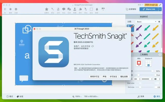 第三方截圖軟件（如Snagit）