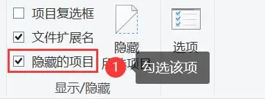 檢查文件是否被隱藏