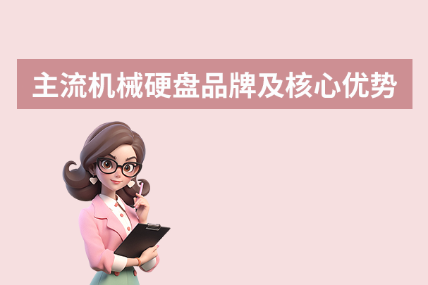 主流機械硬盤品牌及核心優(yōu)勢